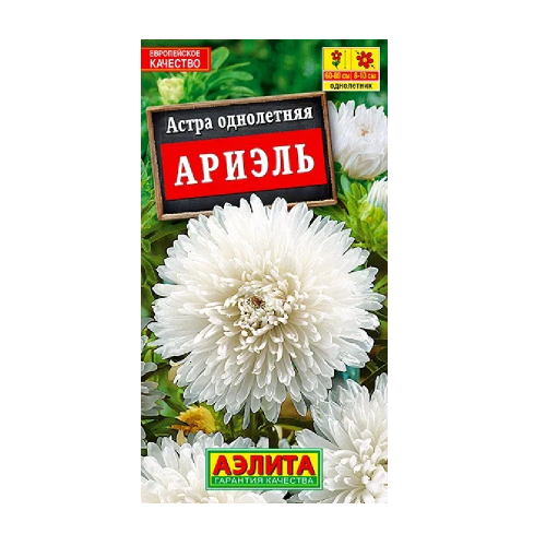 Астра Ариэль  0_2гр_10