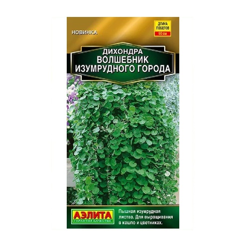 Дихондра Волшебник Изумрудного города 3шт  _10