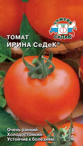 Томат Ирина Седек  0_1гр_10