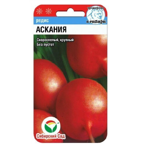 Редис Аскания  2гр_10