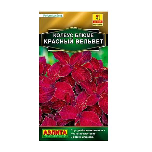 Колеус Блюме Визард Красный вельвет 5-10шт_10