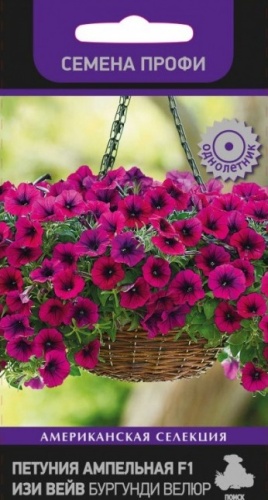 Петуния Изи Вейв Бургунди Велюр F1 ампельная  5шт_10