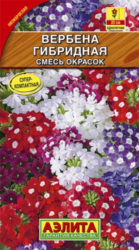 Вербена гибридная  0_1гр_10