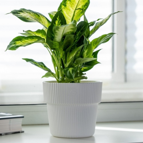 Горшок пласт Алемар VipSet  8_2л белый _4