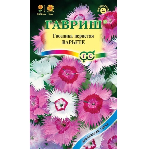 Гвоздика перистая Варьете_Альпийская горка  0_1гр_10