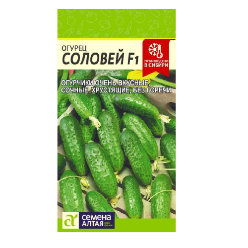 Огурец Соловей F1  0_3 гр_10