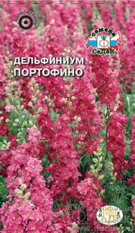 Дельфиниум Портофино  0_1гр_10