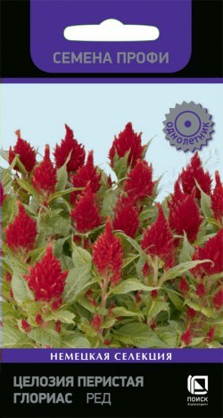 Целозия Глориас Ред перистая  10шт_10