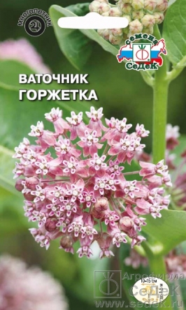 Ваточник Горжетка сирийский  0_05гр_10