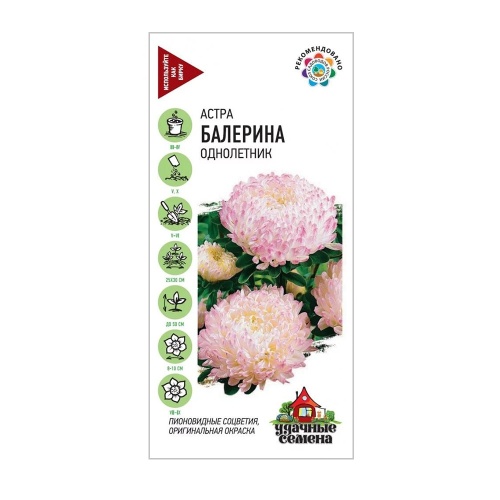 Астра Балерина_Удачные семена  0_3гр_10