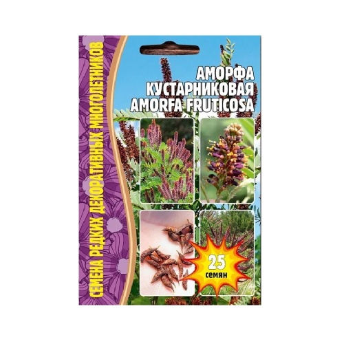 Аморфа кустарниковая  25шт_5