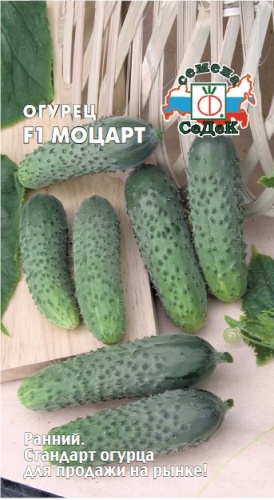 Огурец Моцарт F1  8шт_10