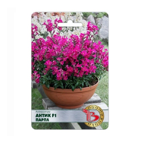 Антирринум Антик F1 Парпл  20шт_5
