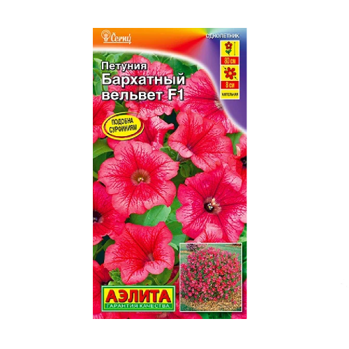 Петуния Бархатный Вельвет ампельная 4шт _10