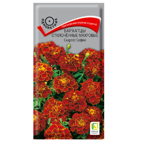 Бархатцы Скарлет София отклоненные махровые  0_4гр_10