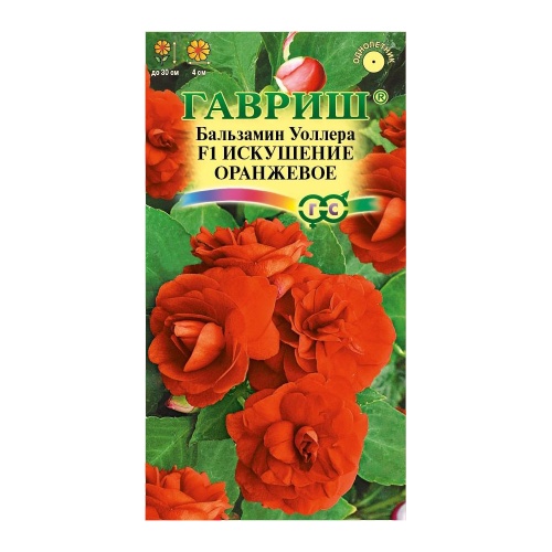 Бальзамин Уоллера Искушение оранжевое  4-5шт_10