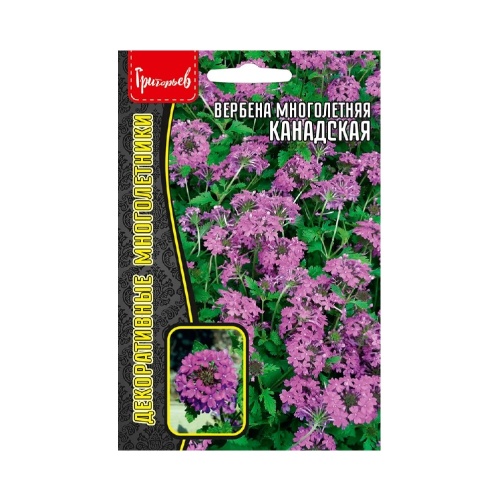 Вербена Канадская многолетняя 0_05г _10