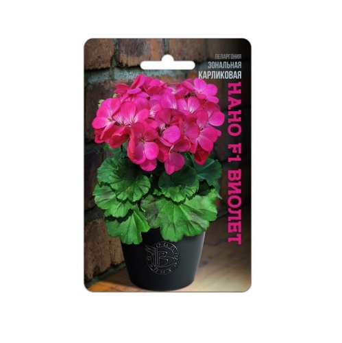 Пеларгония Нано F1 Виолет 5шт_5_10