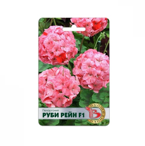 Пеларгония Руби Рейн F1  5шт_5_10