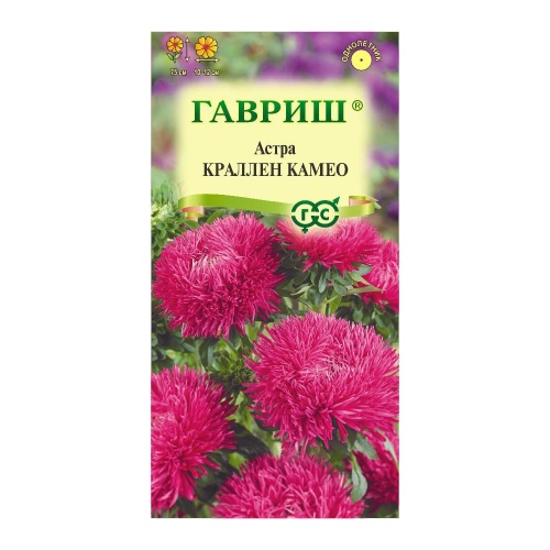 Астра Краллен Камео  0_3гр_10