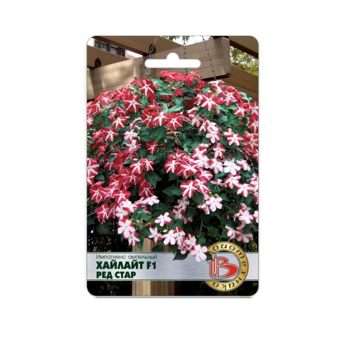 Импатиенс Хайлайт F1 Рэд Стар ампельный  10шт_5_10