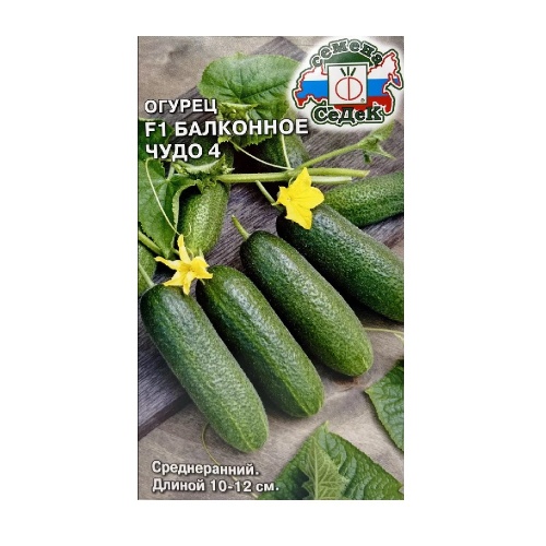 Огурец Балконное чудо 4 F1  0_2гр_10