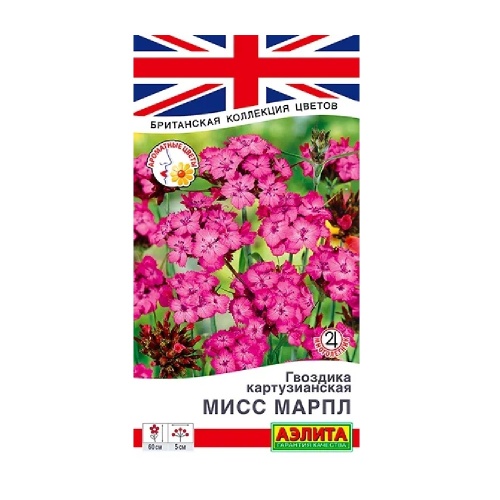 Гвоздика картузианская Мисс Марпл  0_05гр _10