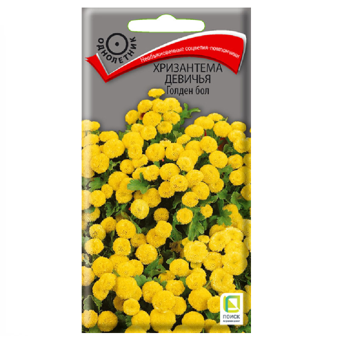 Хризантема девичья Голден Бол  0_05гр_10