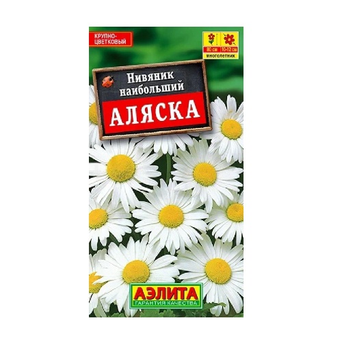 Нивяник Аляска наибольший  0_5гр_10