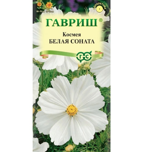 Космея Белая соната  0_3гр_10