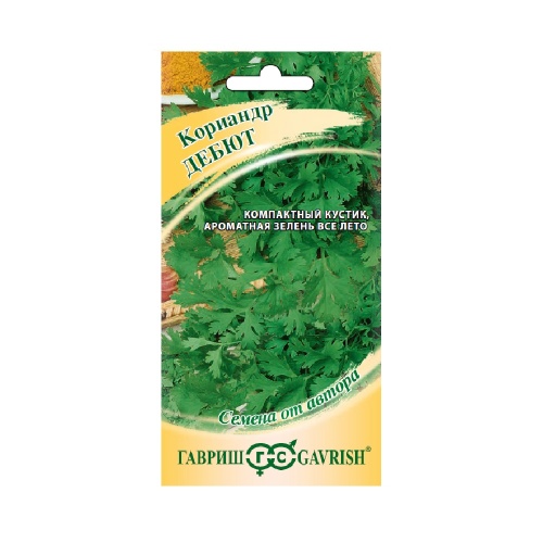 Кориандр Дебют  2гр_10