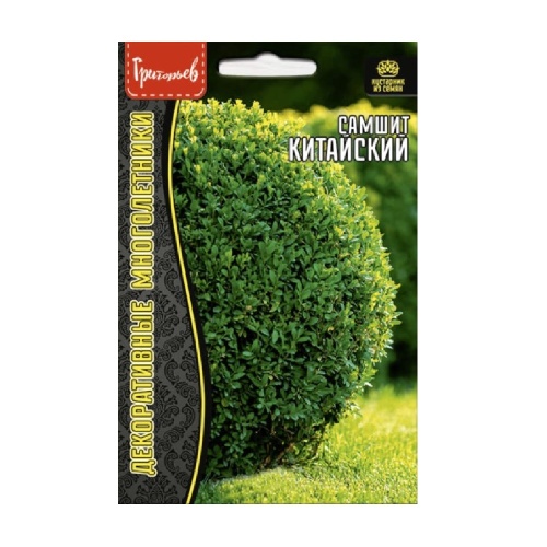 Самшит Китайский 10шт _10