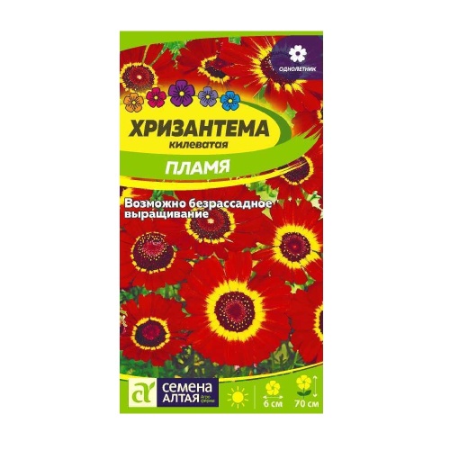 Хризантема Пламя килеватая 0_1гр _10