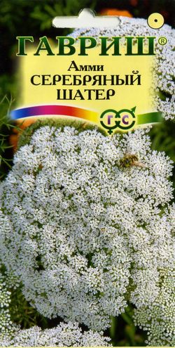 Амми Серебряный шатер  0_1гр_10