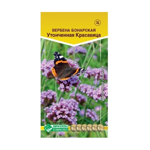 Вербена Утонченная красавица бонарская 5шт_10