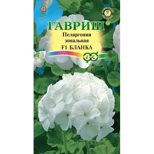 Пеларгония зональная Бланка F1 гранула  4шт  _10