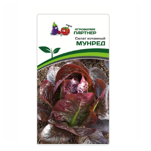 Салат МУНРЕД кочанный 15шт_10