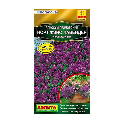 Алиссум Норт фэйс лавендер каскадный  10шт _10