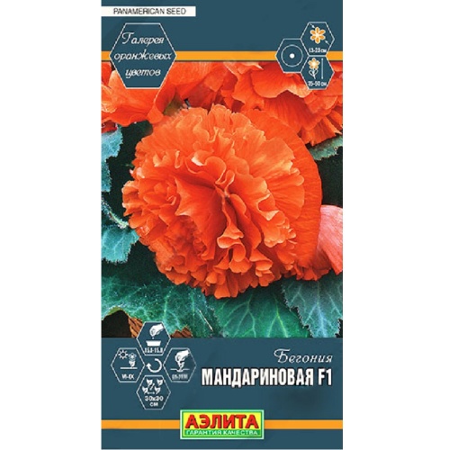 Бегония Мандариновая F1  5шт _10