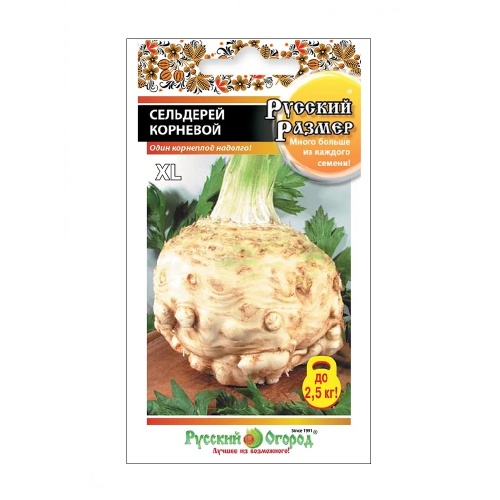 Сельдерей корневой Русский размер  100шт_10_200