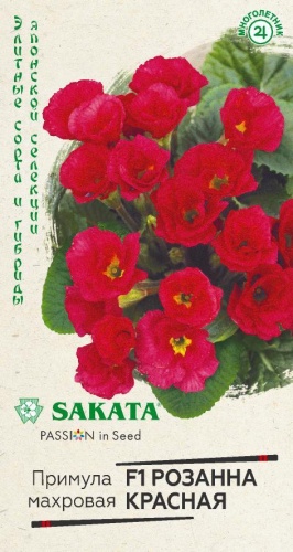 Примула Розанна махровая красная F1  4шт_10