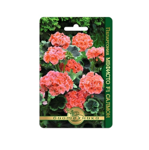 Пеларгония Мефисто F1 Салмон  5шт_5_10