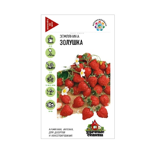 Земляника Золушка_Удачные семена  0_03гр_10