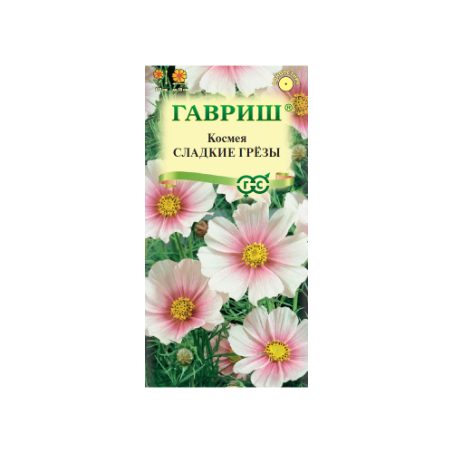 Космея Сладкие грезы  0_3гр_10