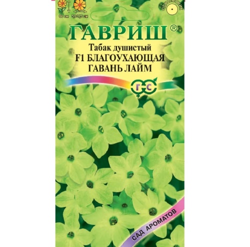 Табак Благоухающая гавань лайм F1_Сад ароматов  4шт_10