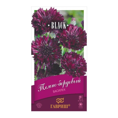 Василек темно-бордовый  0_2гр_10