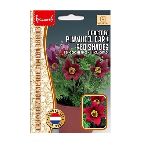 Прострел Pinwheel Dark Red Shades 3шт_10