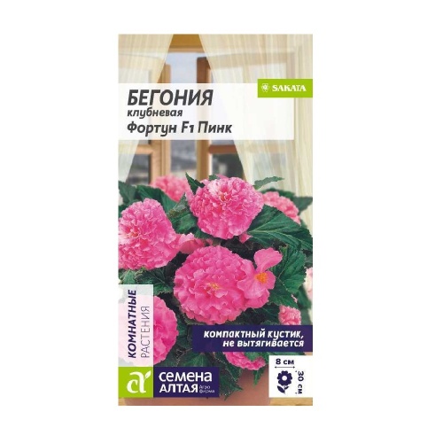 Бегония Фортун F1 Пинк клубневая 4 шт_10