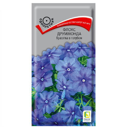 Флокс друммонда Красотка в голубом  0_1гр_10