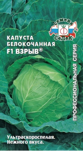 Капуста б_к Взрыв F1  0_2гр_10